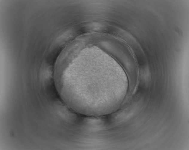 X0000113740284200910141010