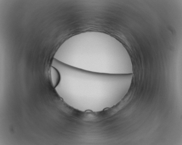 X0000113740285200910141010