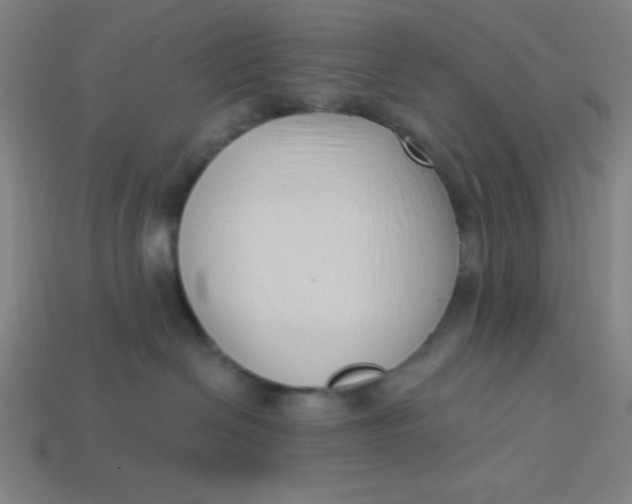 X0000113740286200910141010