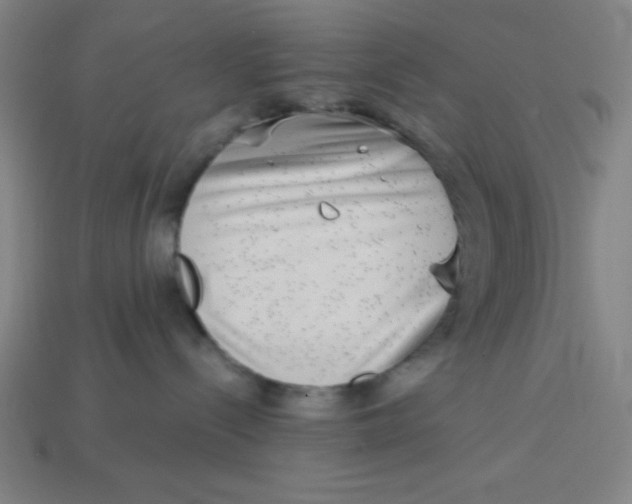 X0000113740288200910141010