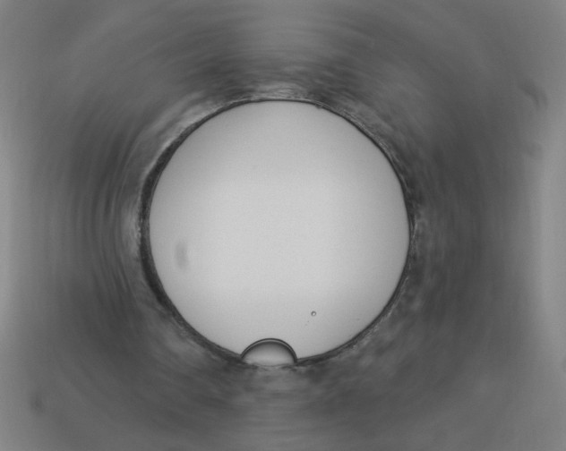 X0000113740290200910141010