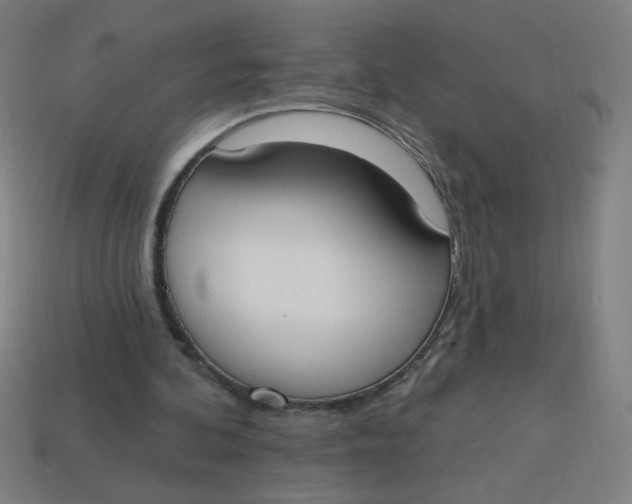 X0000113740292200910141010