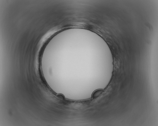 X0000113740294200910141010