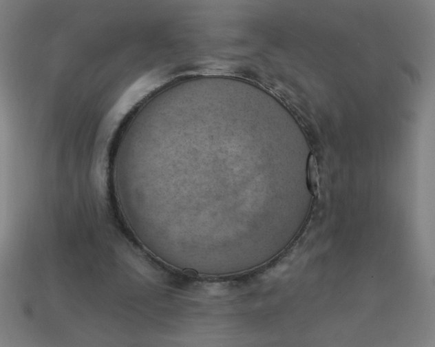 X0000113740295200910141010