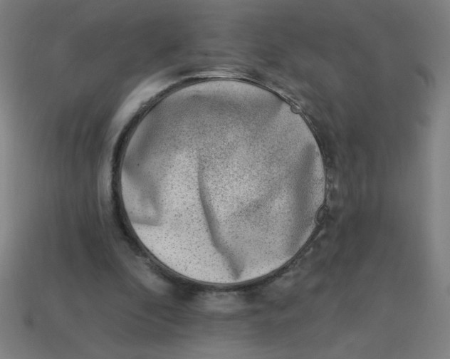 X0000113740296200910141010