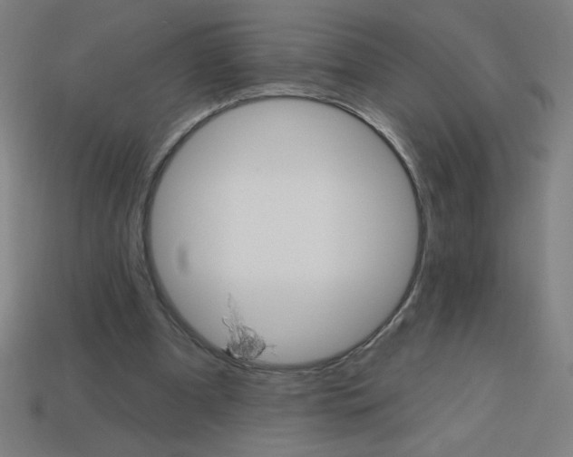 X0000113740297200910141010