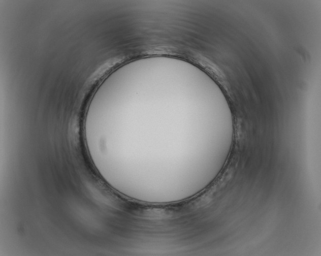 X0000113740298200910141010