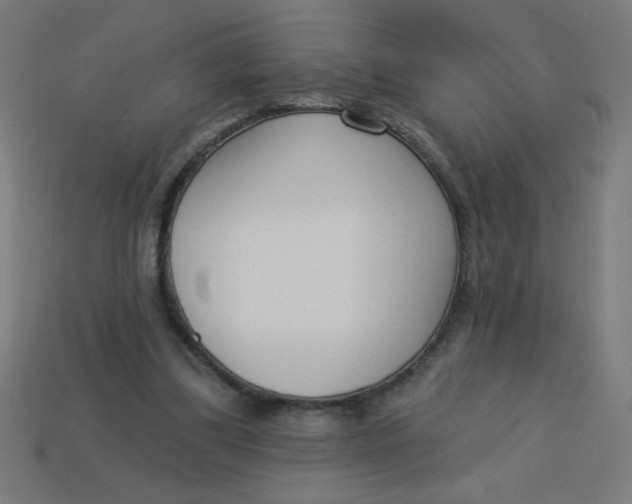 X0000113740299200910141010