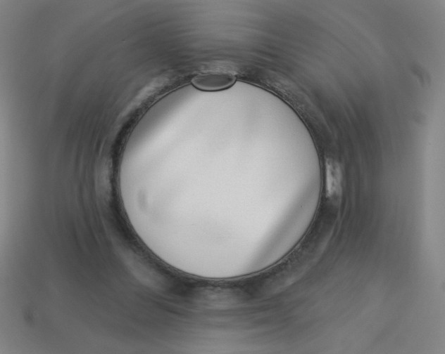 X0000113740300200910141010