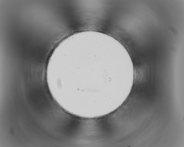 X0000113740301200910141010