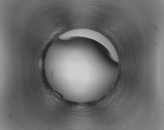 X0000113740308200910141009