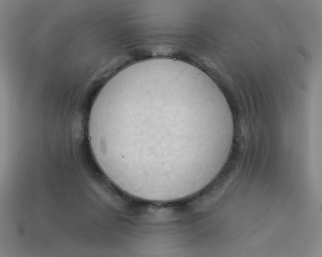 X0000113740311200910141009