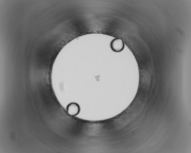 X0000113740313200910141009