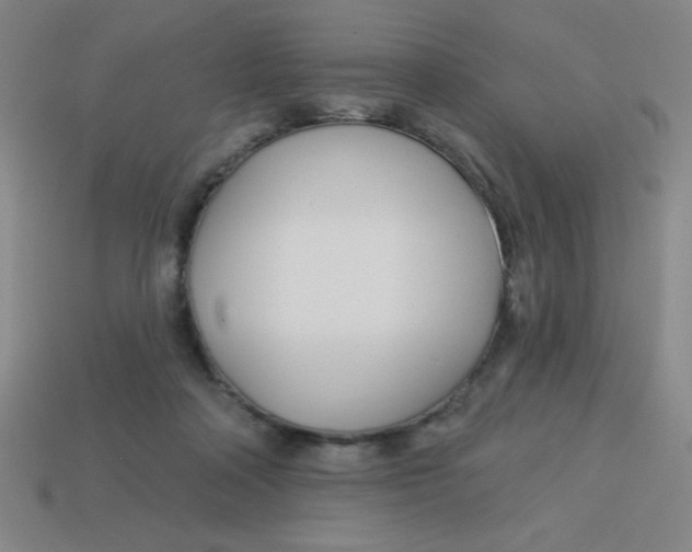 X0000113740314200910141009