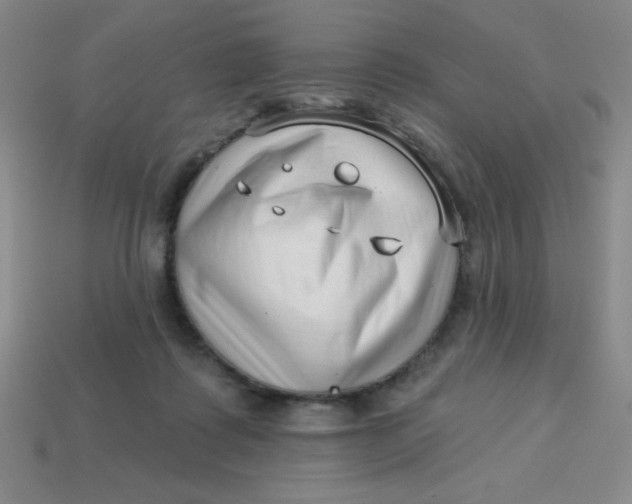 X0000113740315200910141009