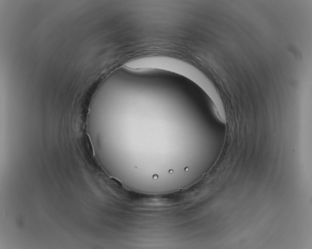 X0000113740316200910141009