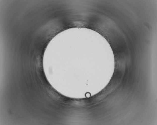 X0000113740317200910141009