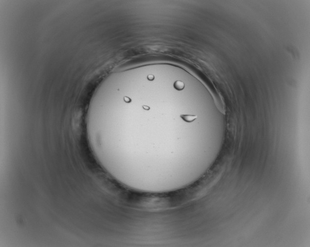 X0000113740319200910141009