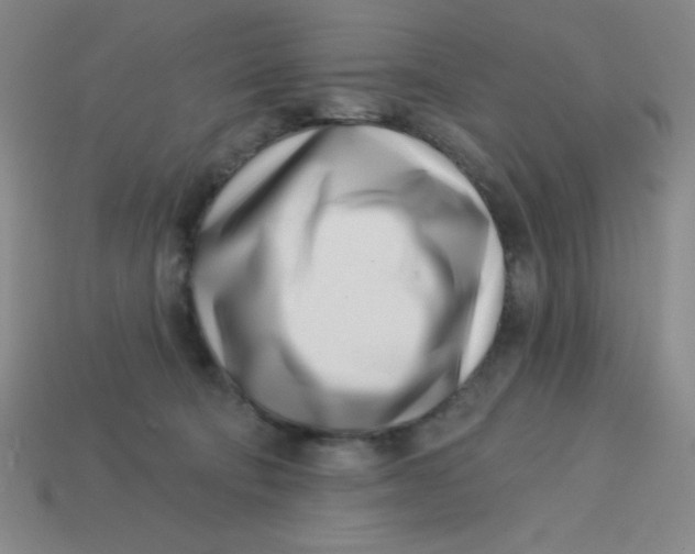 X0000113740322200910141009