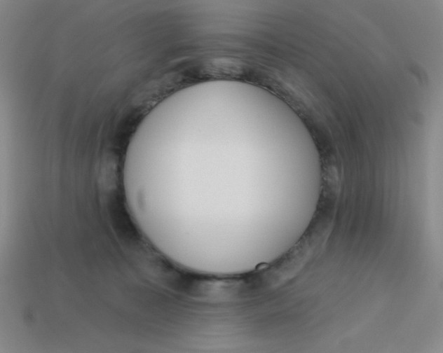 X0000113740323200910141009