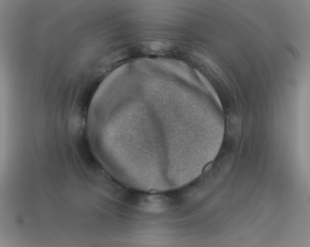 X0000113740324200910141009