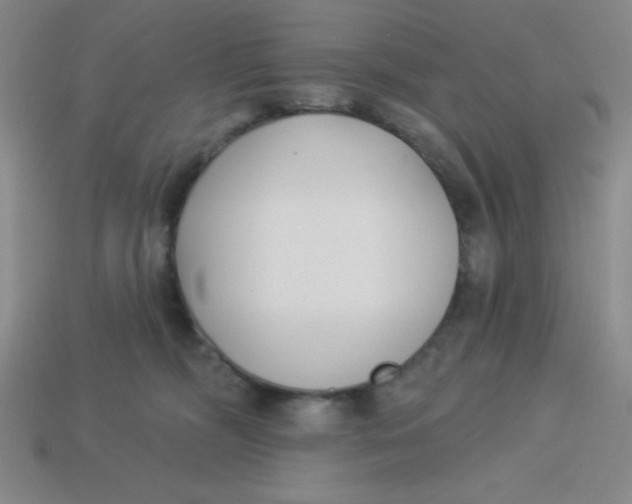 X0000113740326200910141009