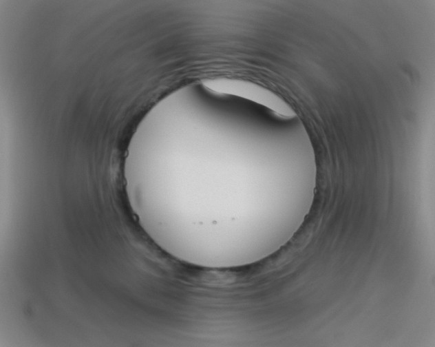 X0000113740328200910141009