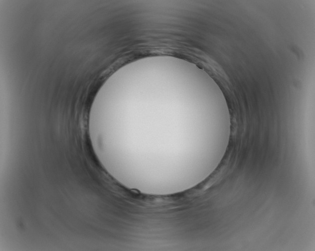 X0000113740329200910141009