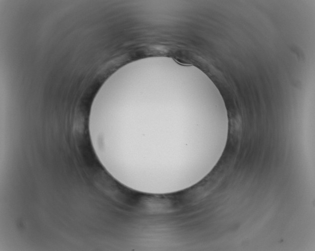 X0000113740331200910141009