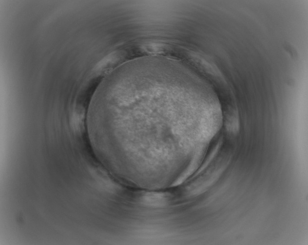 X0000113740332200910141009