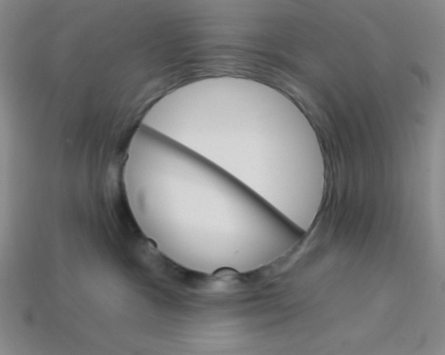 X0000113740333200910141009