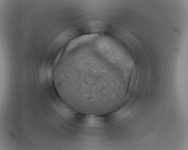 X0000113740336200910141009