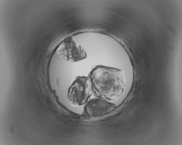 X0000113740337200910141008