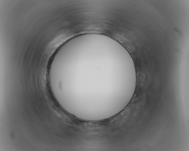 X0000113740338200910141008