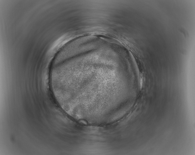 X0000113740339200910141008