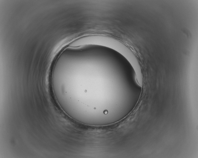 X0000113740340200910141008