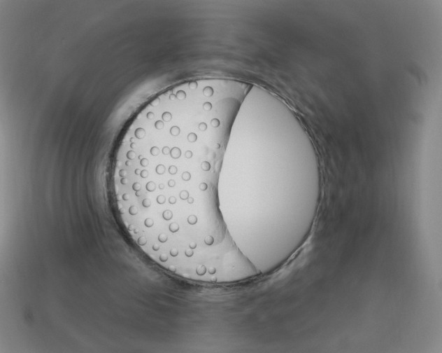 X0000113740341200910141008