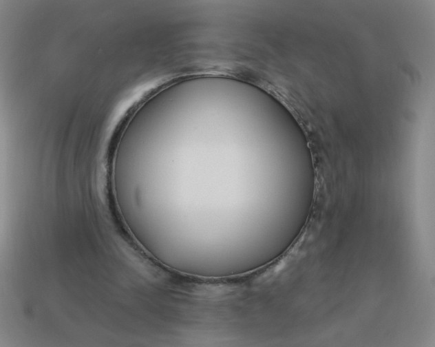 X0000113740342200910141008