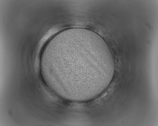 X0000113740343200910141008