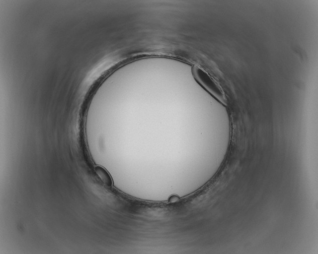 X0000113740344200910141008