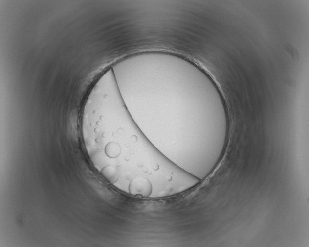 X0000113740345200910141008