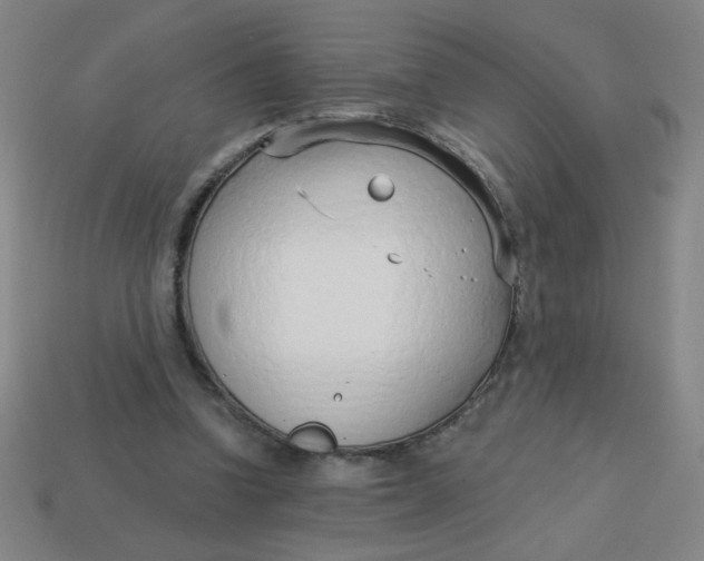 X0000113740346200910141008