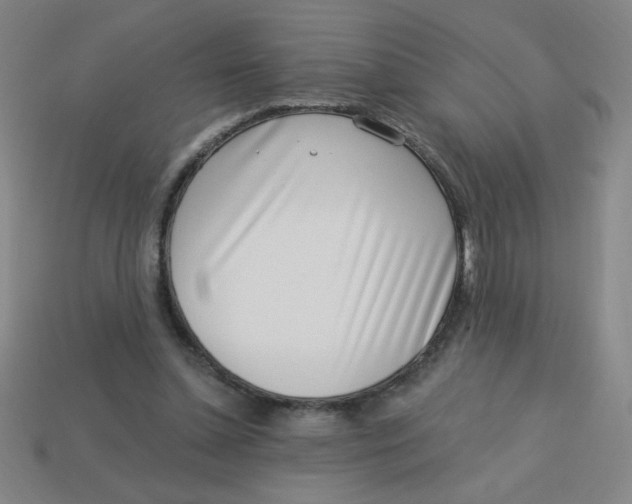 X0000113740348200910141008