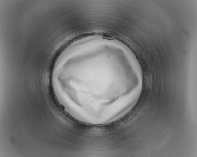 X0000113740350200910141008