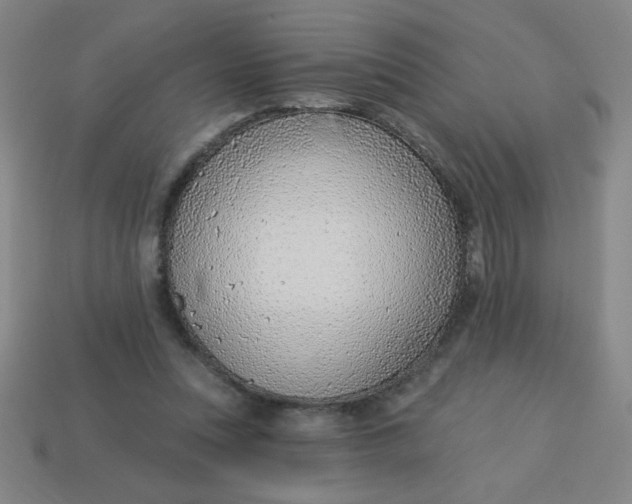 X0000113740351200910141008