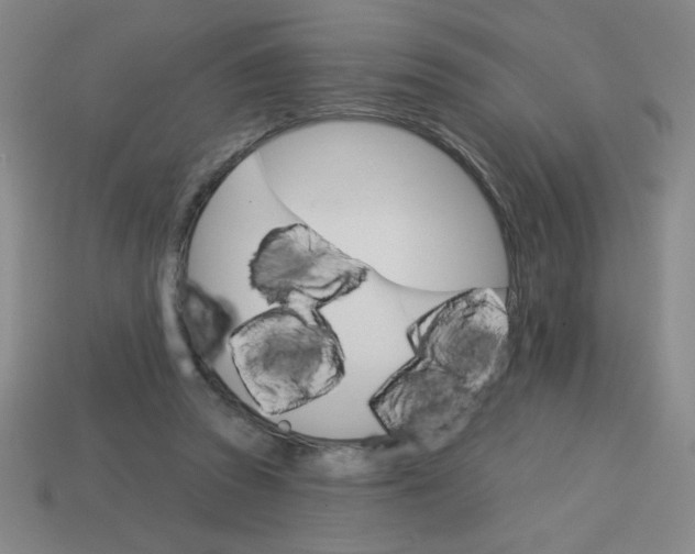 X0000113740353200910141009