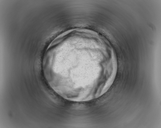 X0000113740354200910141009