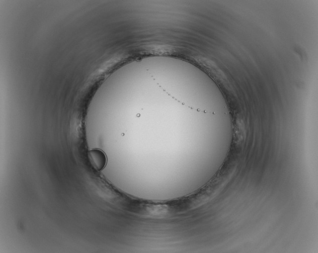 X0000113740355200910141009