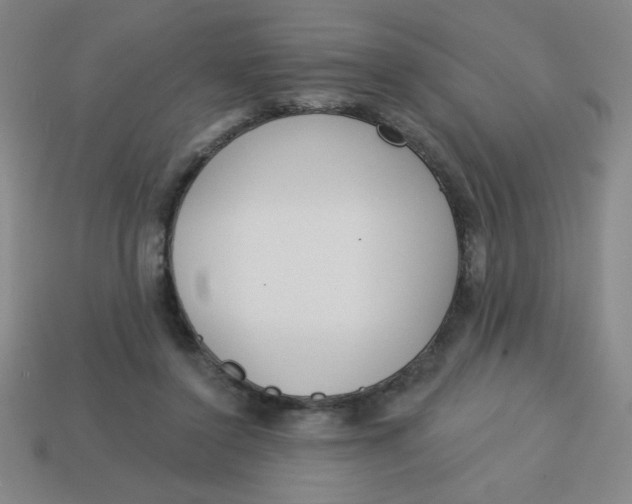 X0000113740356200910141009