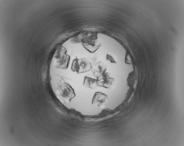 X0000113740357200910141009